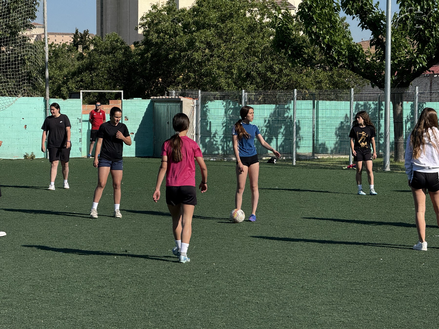 Activitat esportiva