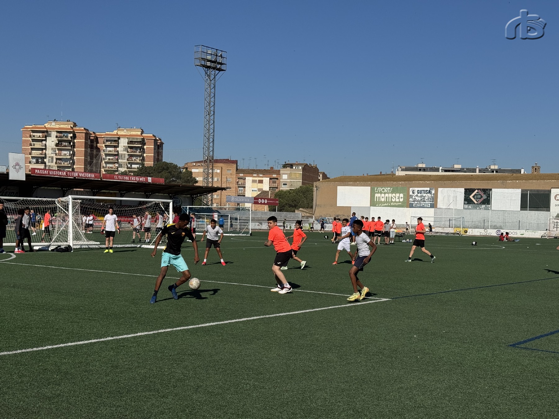 Activitat esportiva