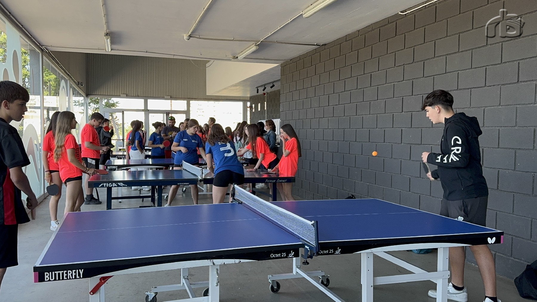 Activitat esportiva