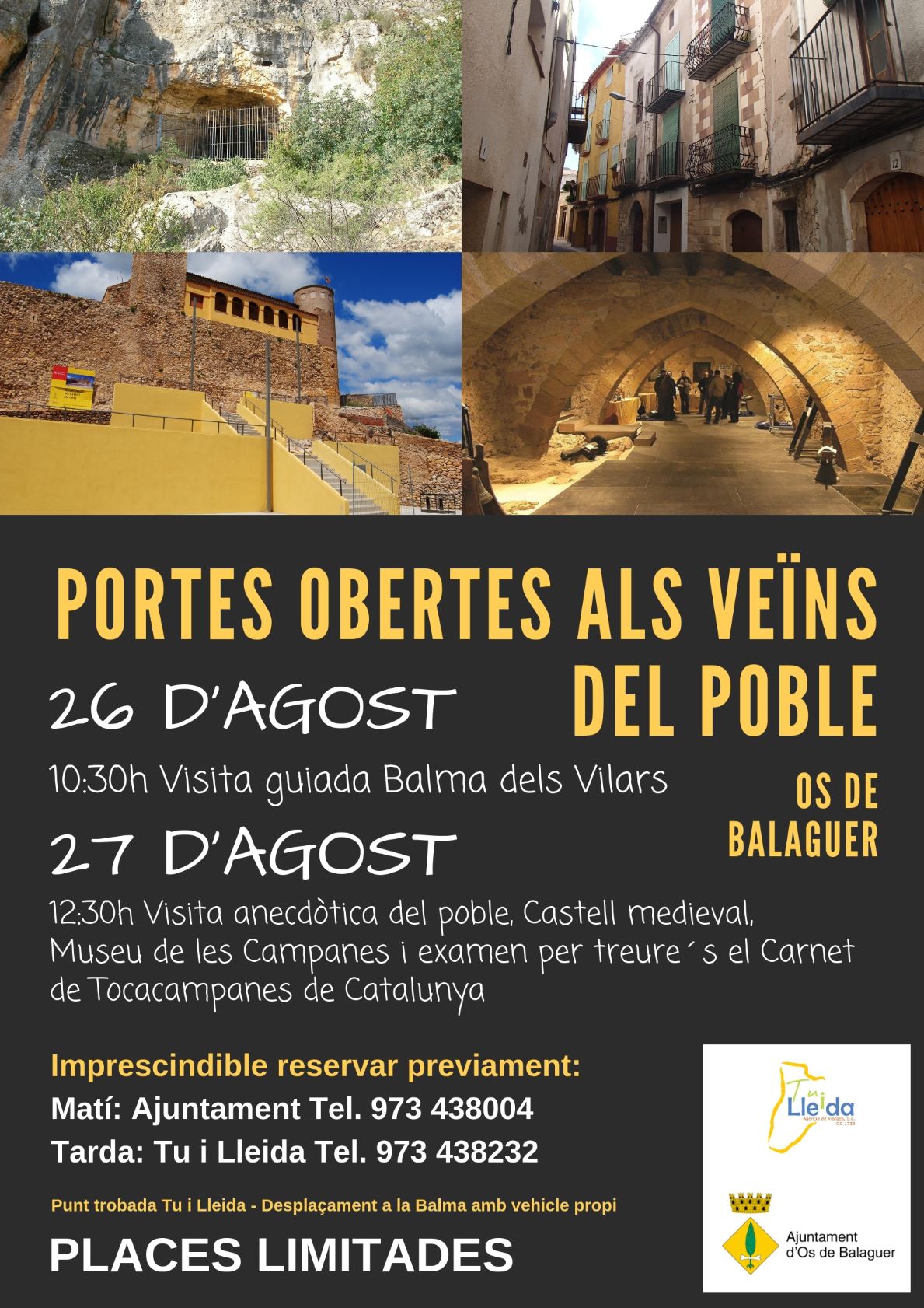 Cartell de la proposta