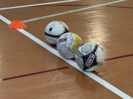 Pilotes de futbol sala