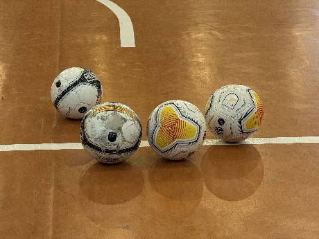 Pilotes de futbol sala