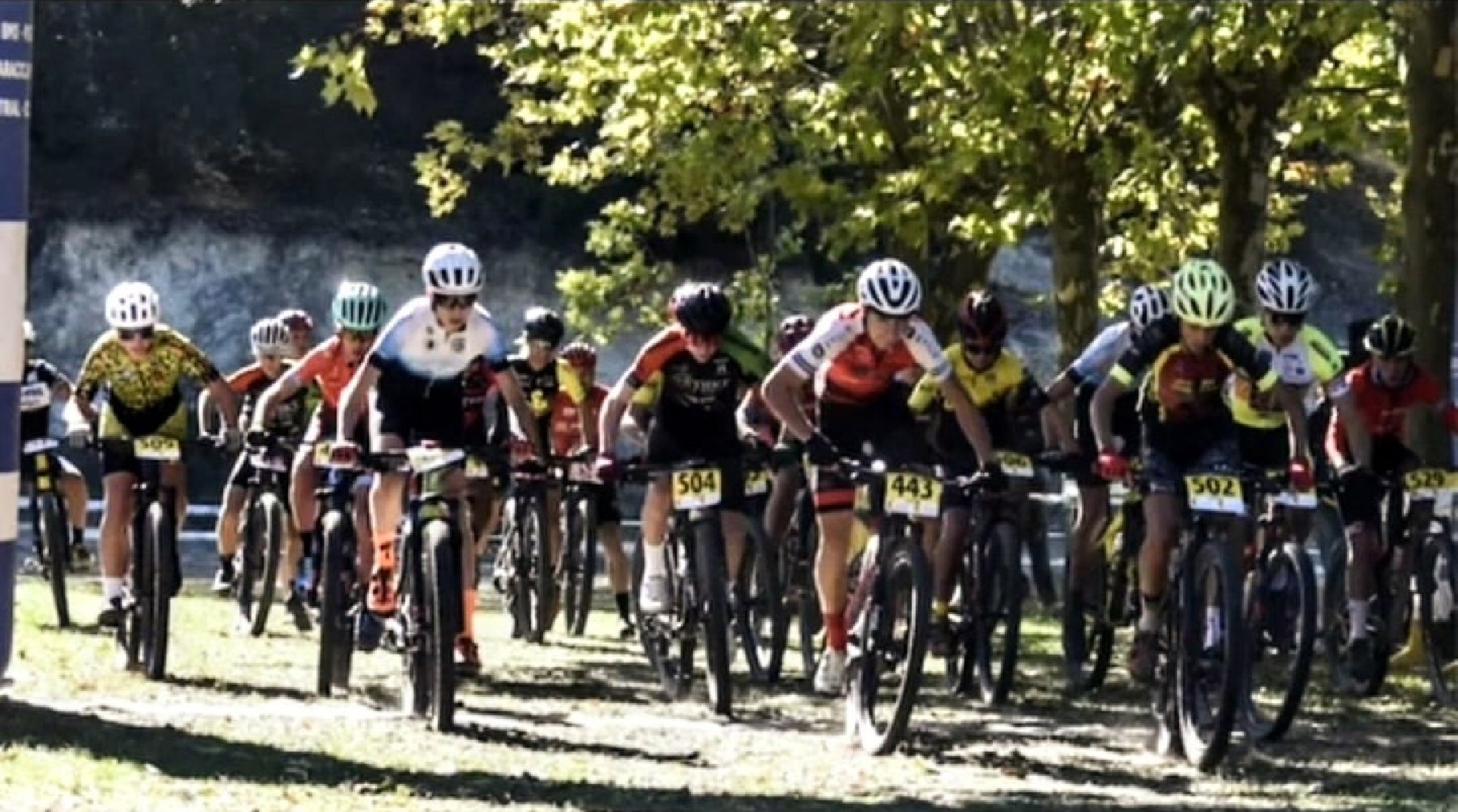 Ciclistes