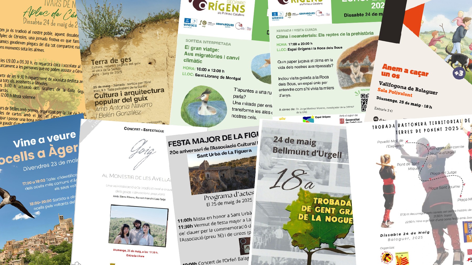 Cartells