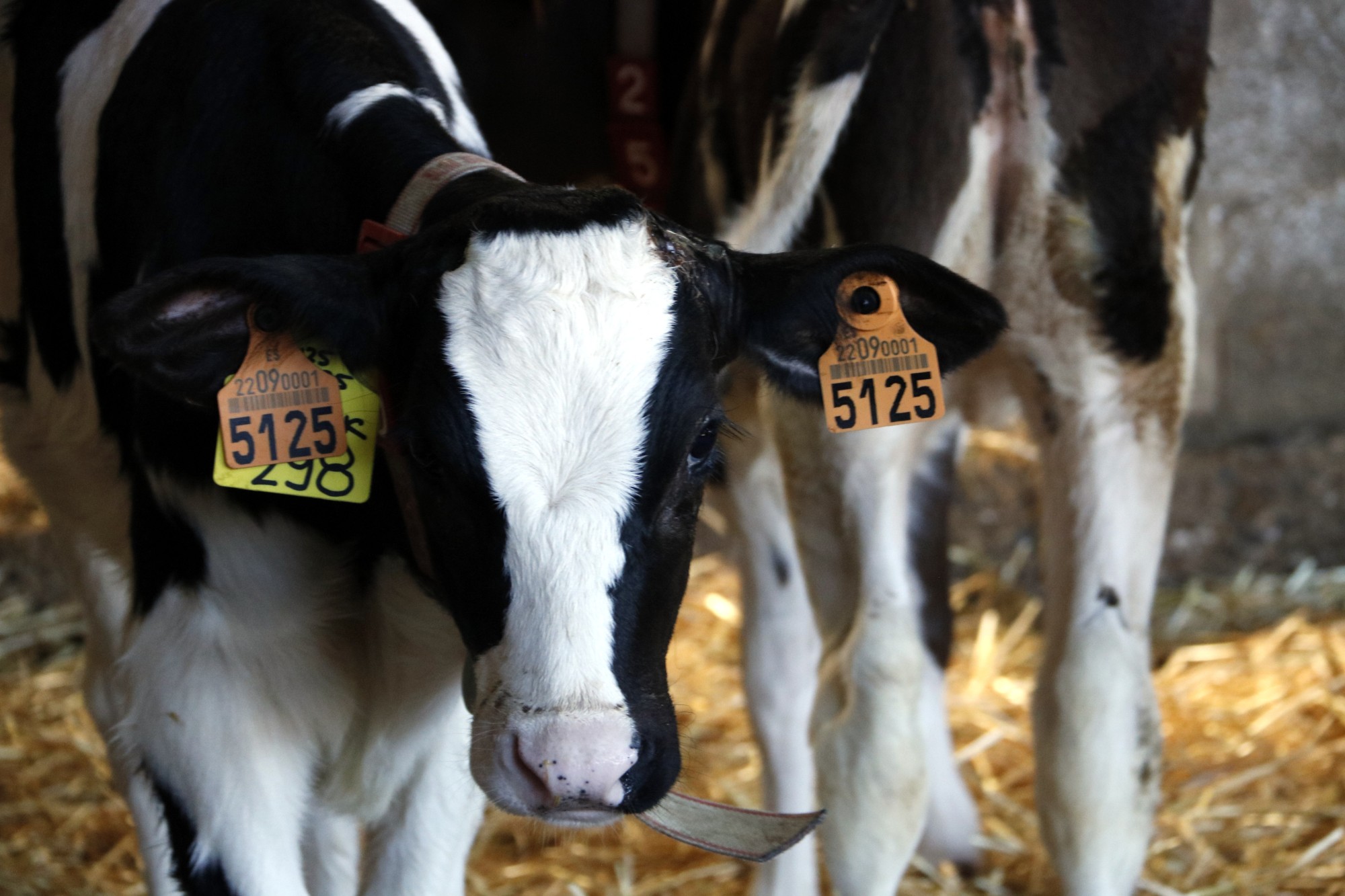 D0405642 69E4 40D7 Ab5B 5273210E107D