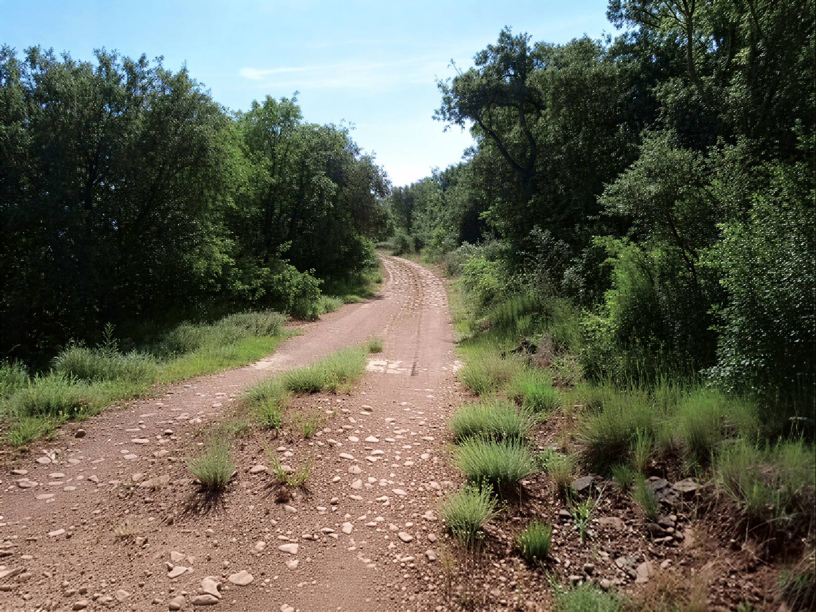 Un dels punts on s'actuarà, el camí de la Régola al Castell de Xen