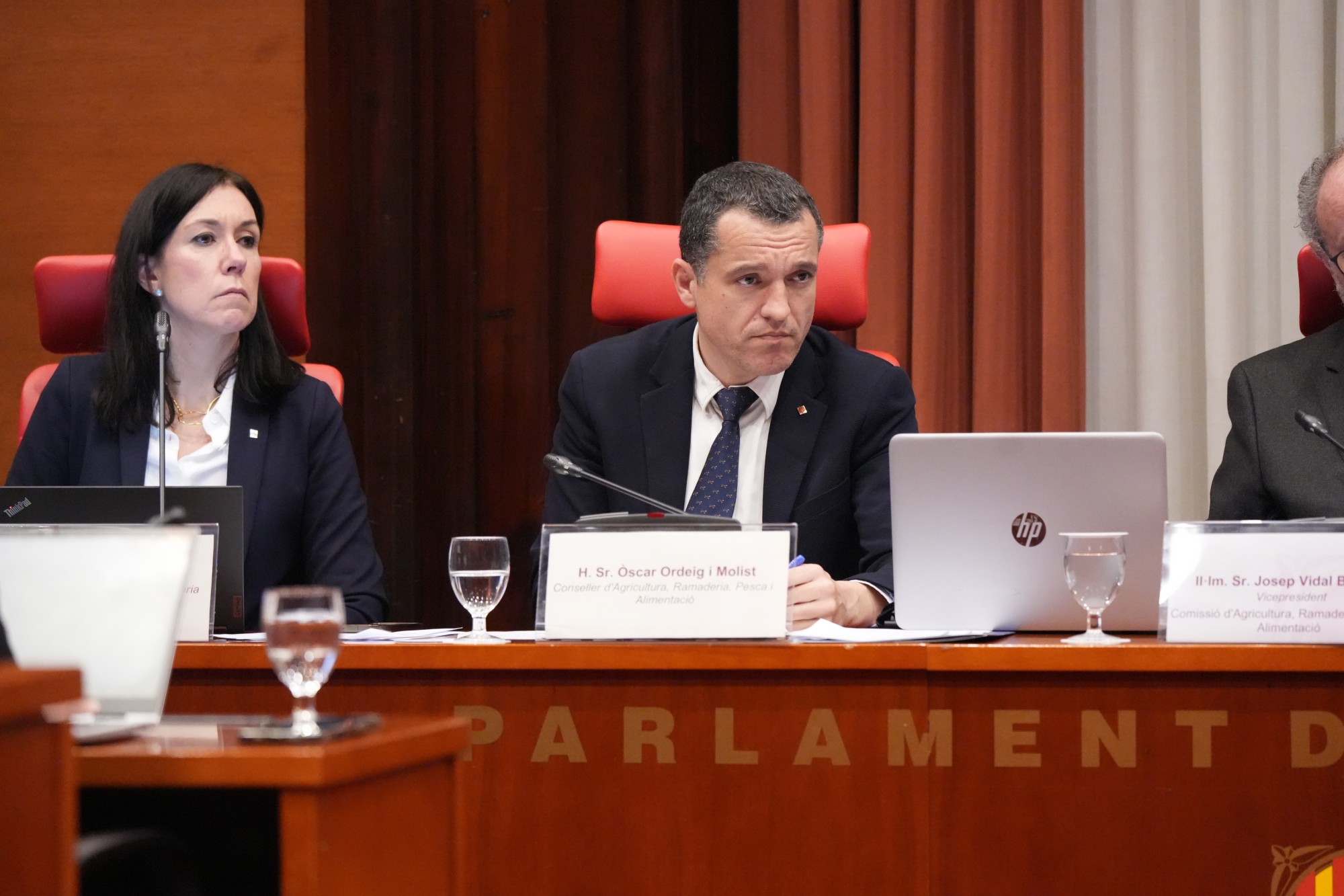 conseller Ordeig al Parlament